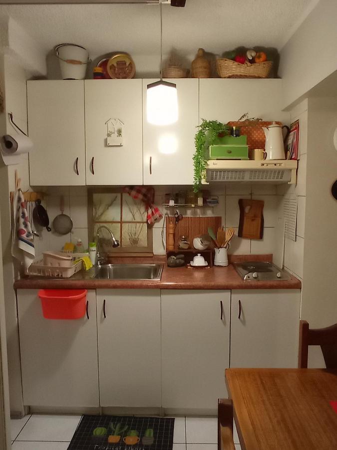 Apartmán Dulce Hogar Santiago de Chile Exteriér fotografie